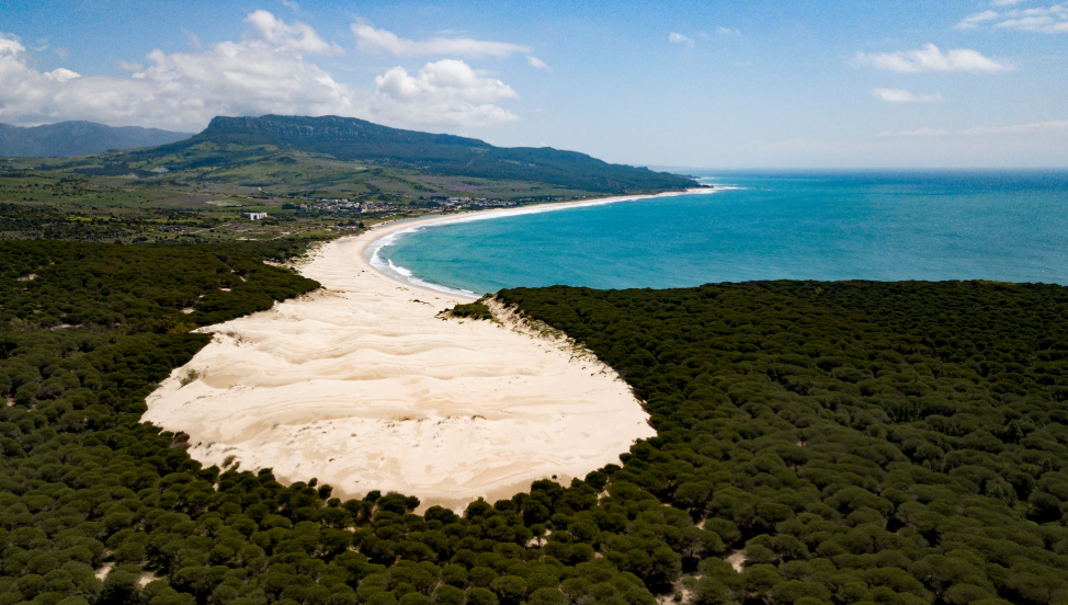 Bolonia Beach, Spain, Spain